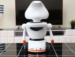 快乐童年智能陪伴 小萝卜伙伴机器人